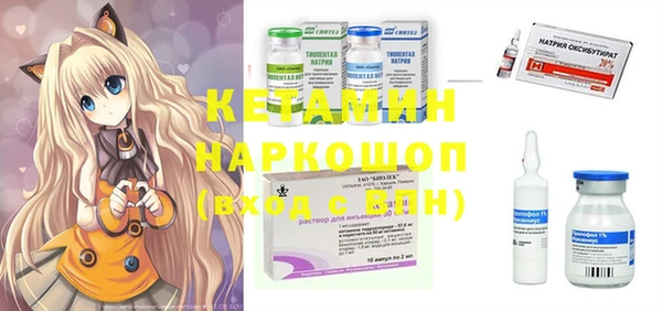хмурый Абаза
