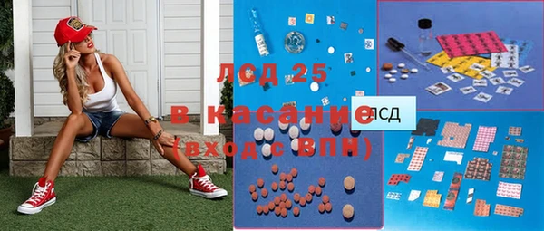 хмурый Абаза