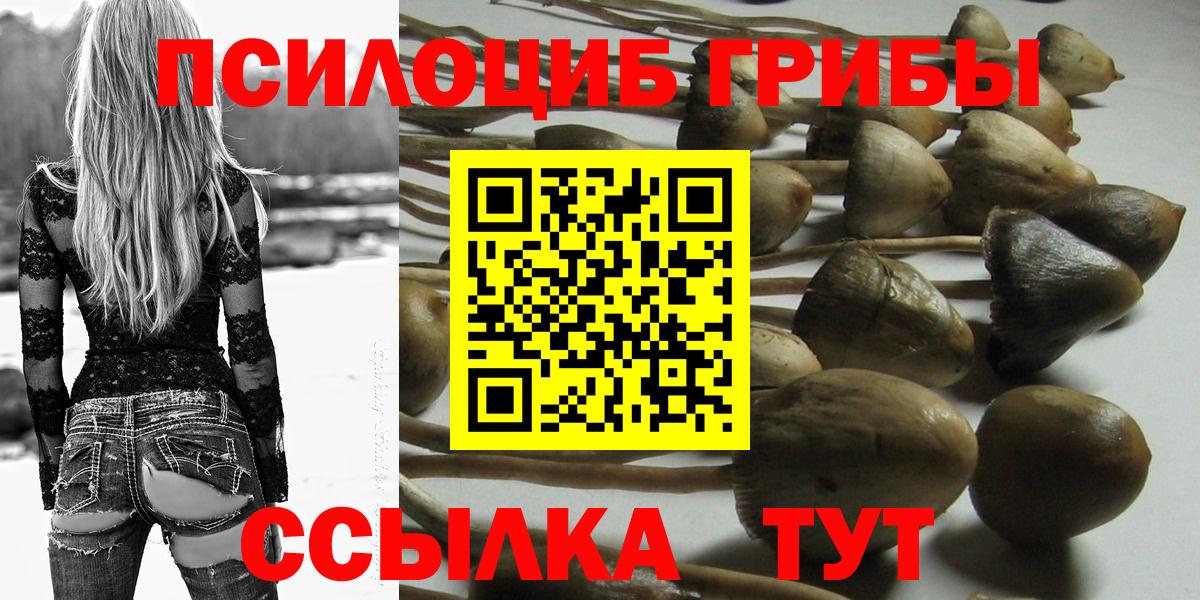 Галлюциногенные грибы мицелий  Вход с VPN  Абинск  наркота  Псилоцибиновые грибы мухоморы 